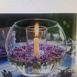 Meet your Posher, Latty